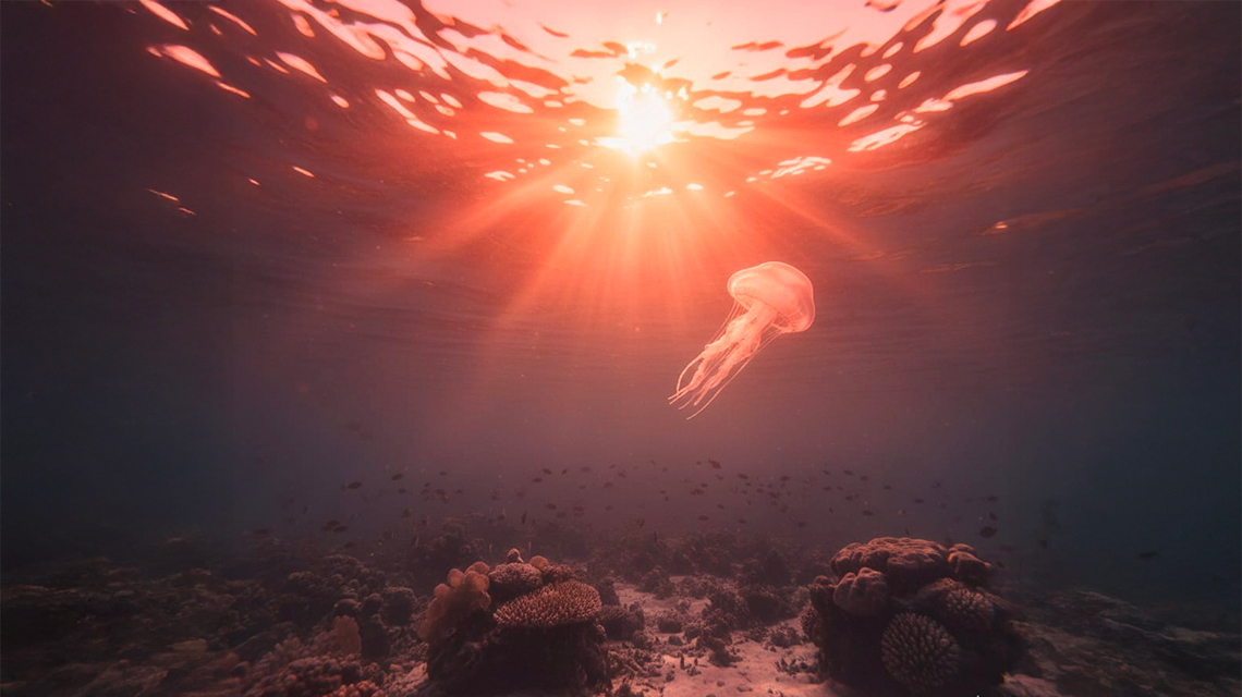 ENEAOfficial's tweet photo. Secondo uno studio #ENEA, in collaborazione con #Cnr e associazione #MedSharks, il #Mediterraneo sta attraversando una fase climatica senza precedenti, con il 2024 che registra temperature ai massimi dell’intera serie storica di 40 anni.
👉 https://t.co/WoqUWUUndl
@CNRsocial_ https://t.co/kgDv2LVSI1