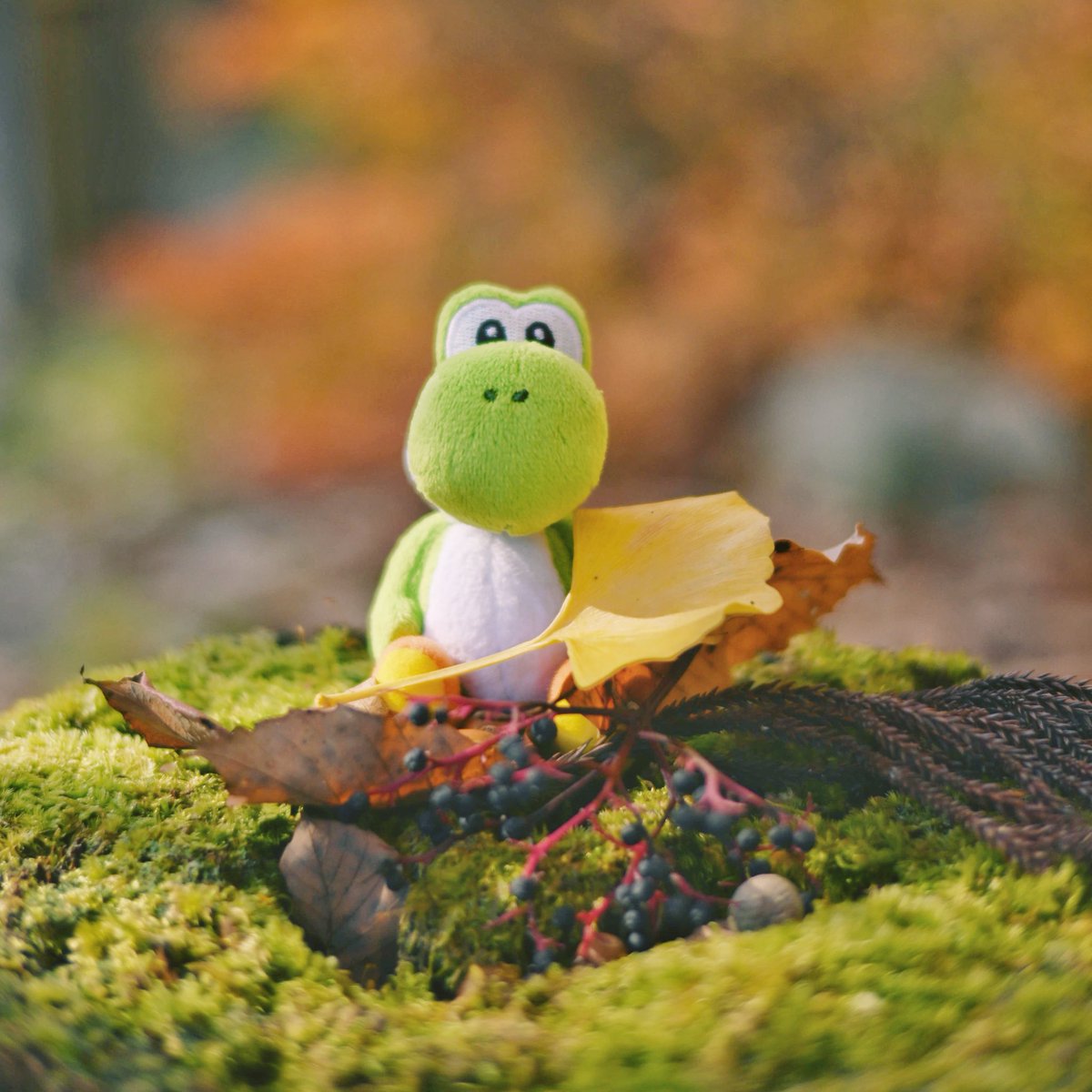 でっていう tweet media