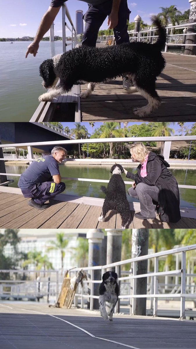 ¿Te has perdido el último programa? 
¡Disponible en Canal Sur Más! 
📺✨➡️ canalsurmas.es/videos/detail/…

<a href="/canalsur/">CanalSur</a> <a href="/canalsurmas/">CanalSur Más</a> <a href="/LapaCreativa/">Lapa_creativa</a> <a href="/marvegalite/">Mar Vega</a>