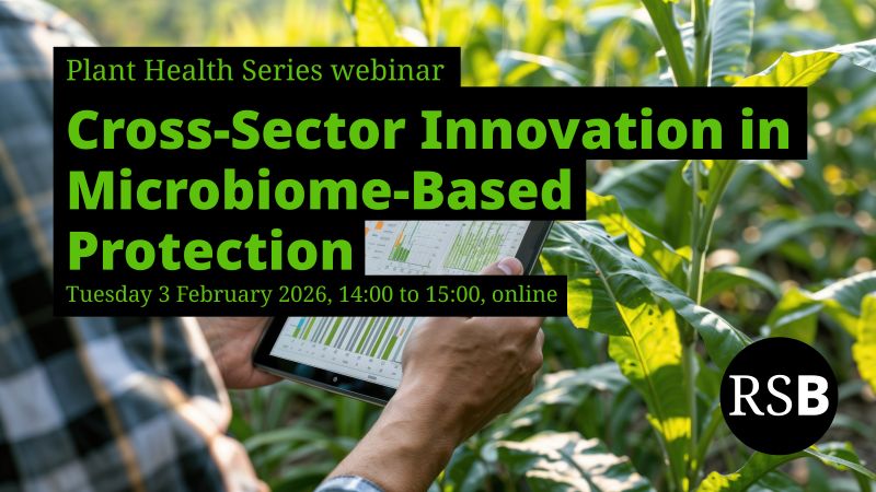 Mimi Tanimoto tweet media