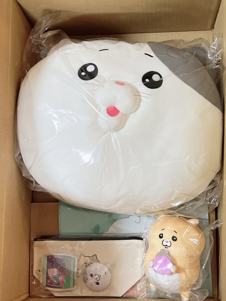 モフ缶 (@peroty6e) / Posts / X