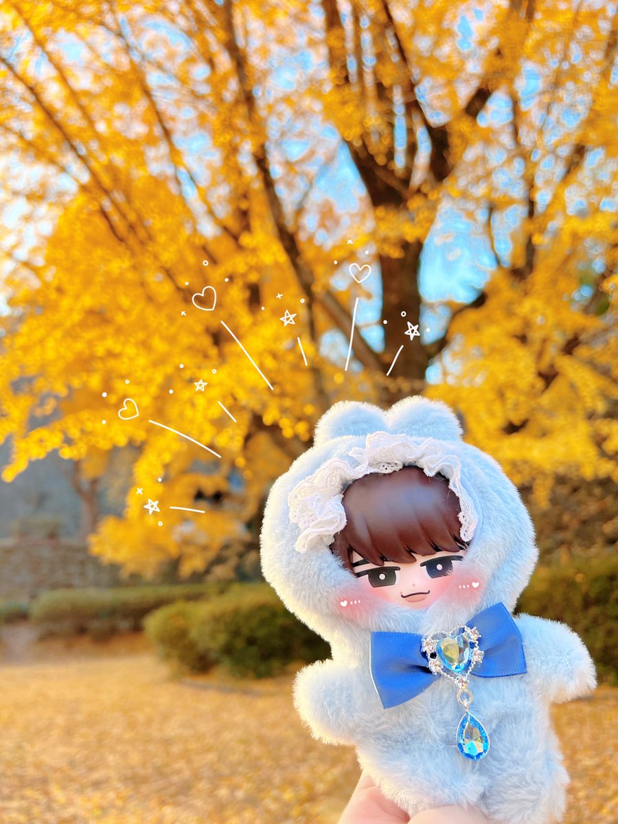 噂のキャンドゥのぬい服買ってみた ソフなべ君には大きかったから