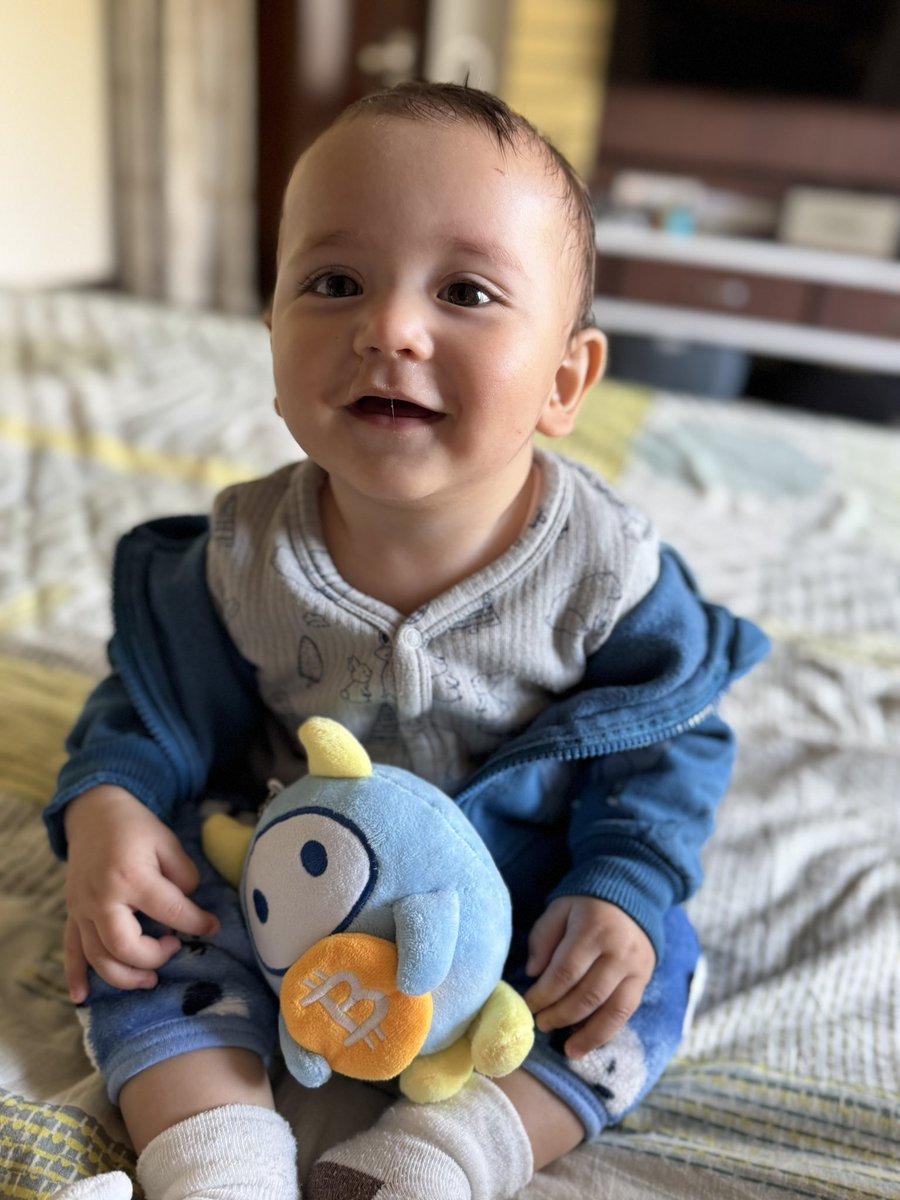 Thank you <a href="/BTCCexchange/">BTCC</a> for giving such a cute toys . My mamma says I m born to be a #bitcoiner 
Waiting such cute stuff from <a href="/LinaSeiche/">Lina Seiche</a> #bitcoin