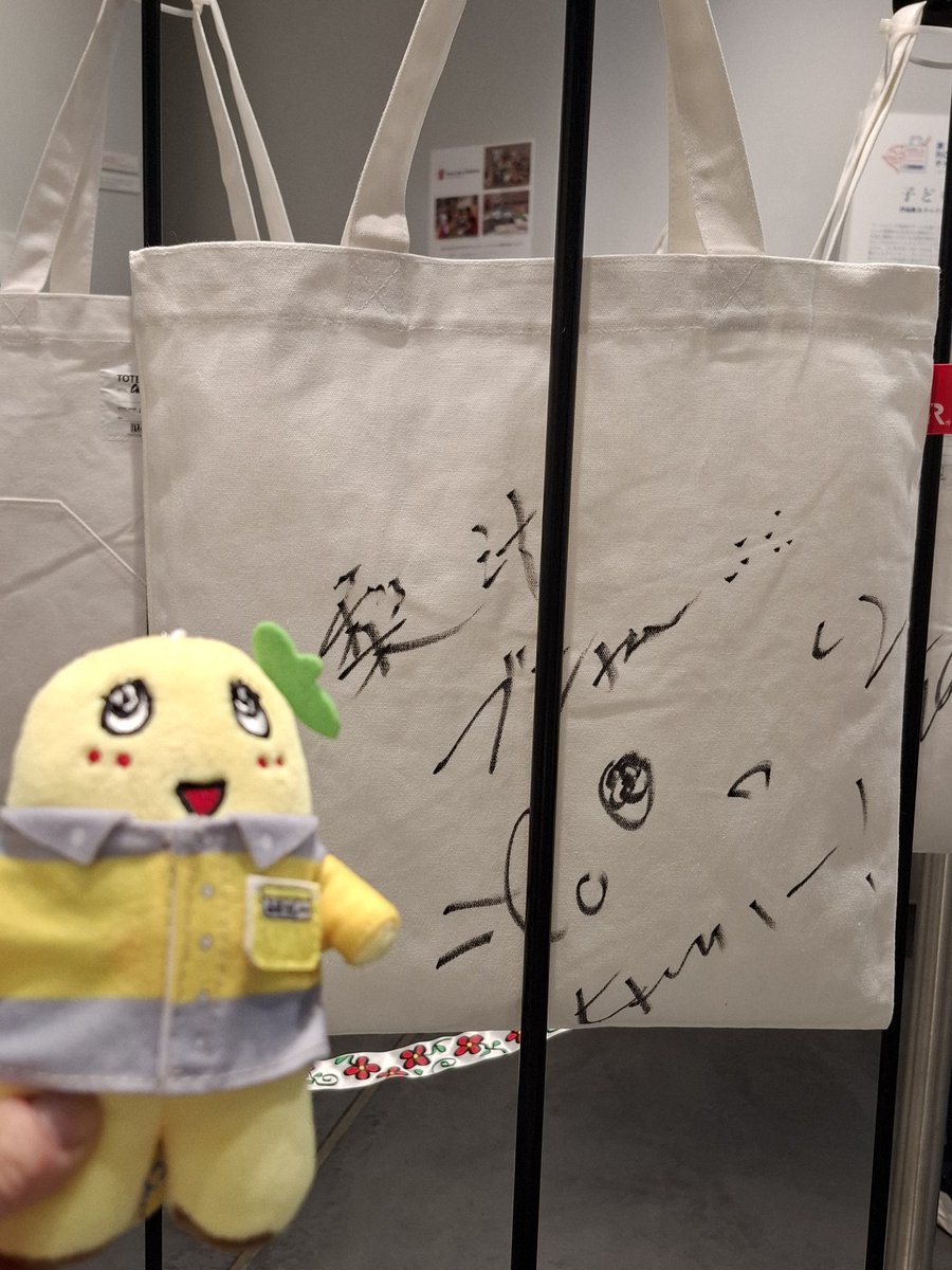 部屋掃除してたら出て来たふなっしー ふなっしー