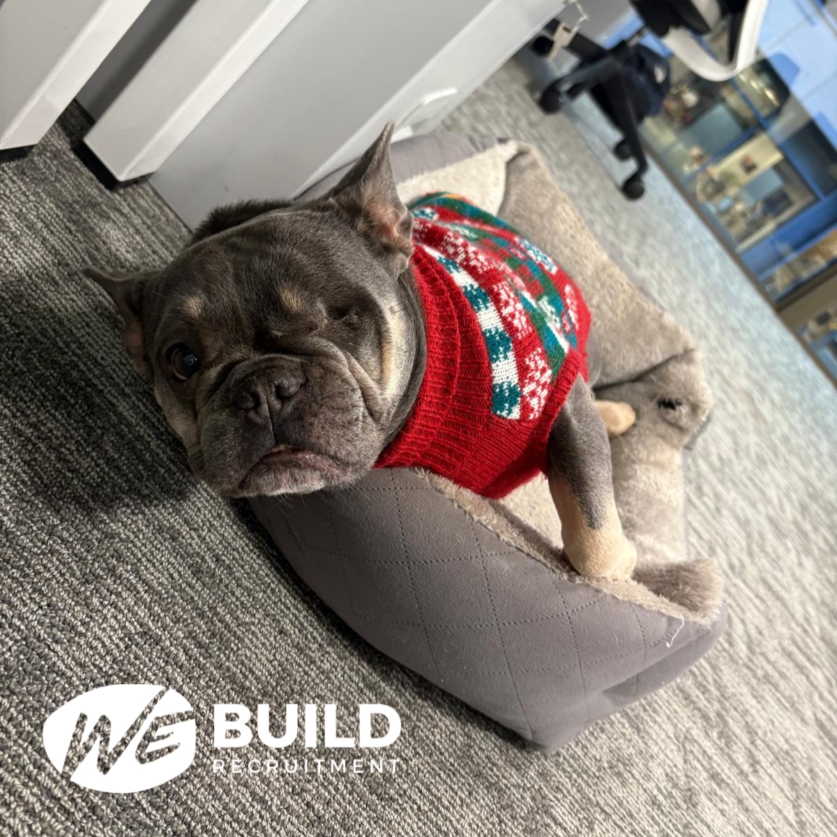 We Build Recruitment tweet media