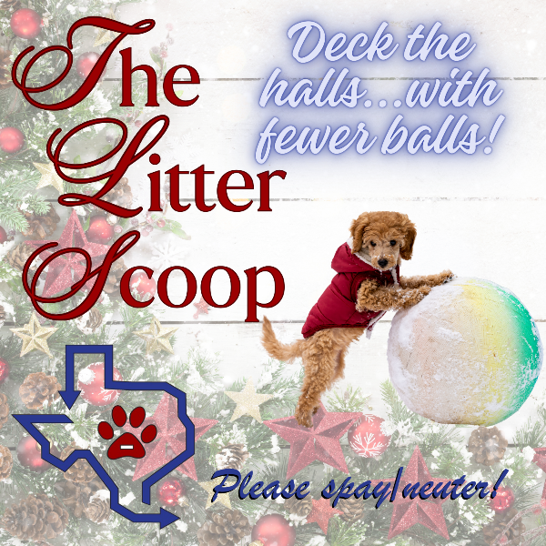 Texas Litter Control December Newsletter - mailchi.mp/f8065db41400/b…