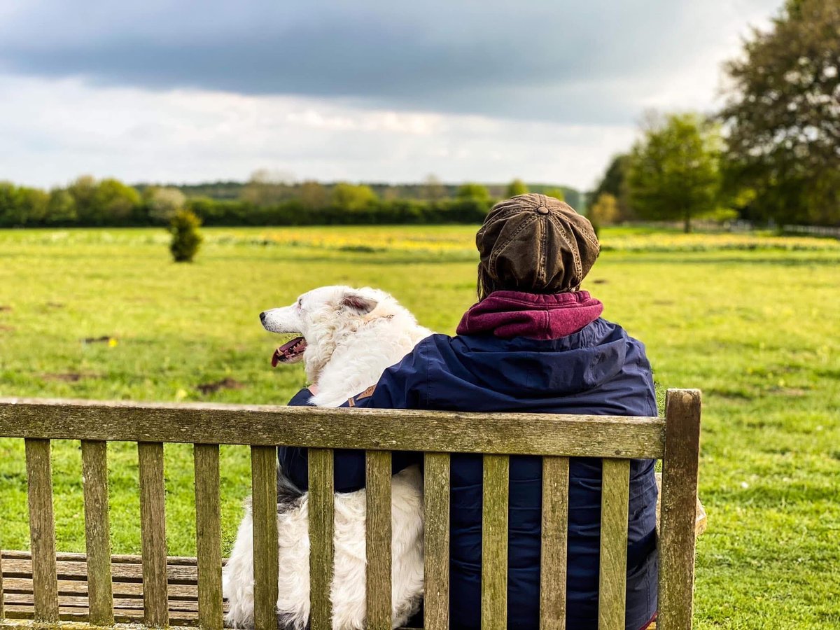 Jessie Two Pigs tweet media