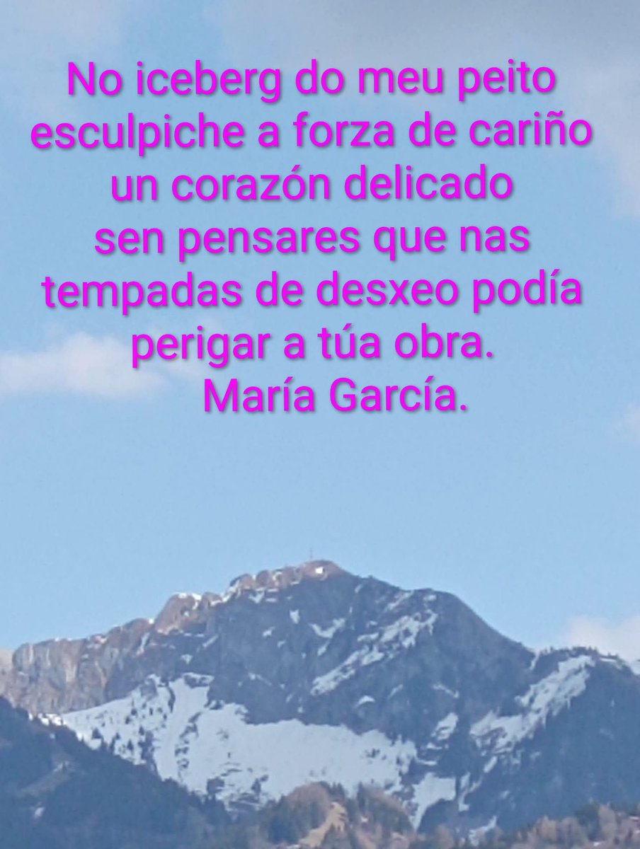 Fridacat (@fridacat7) on Twitter photo 