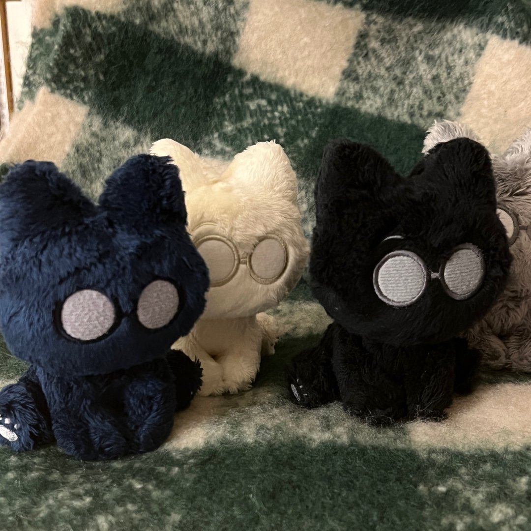 ♡ERIKA♡ tweet media