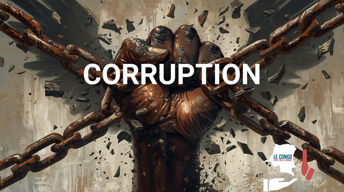 Le Congo N’est Pas à Vendre. tweet media