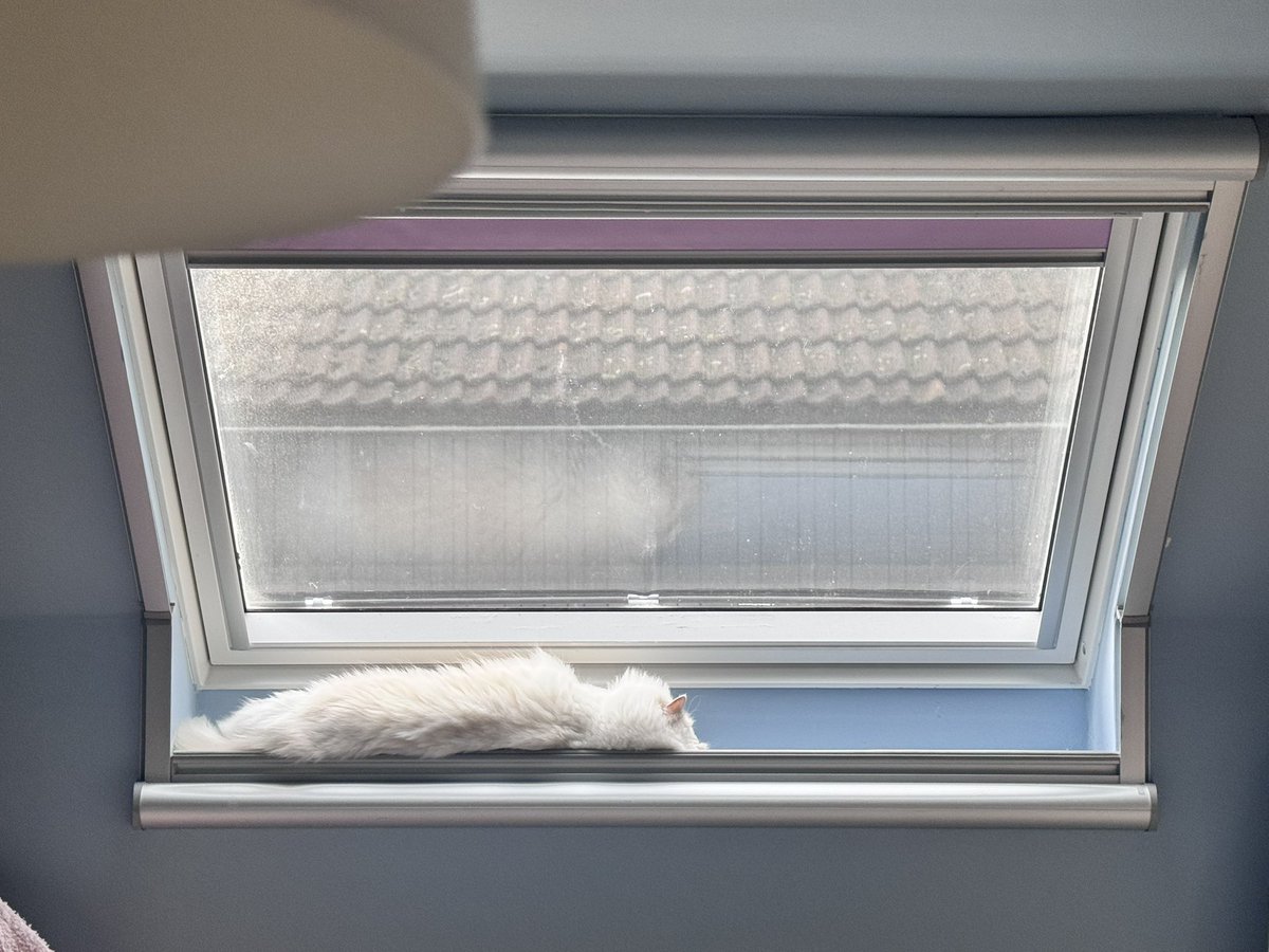 Ik wil het leven van mijn kat😭