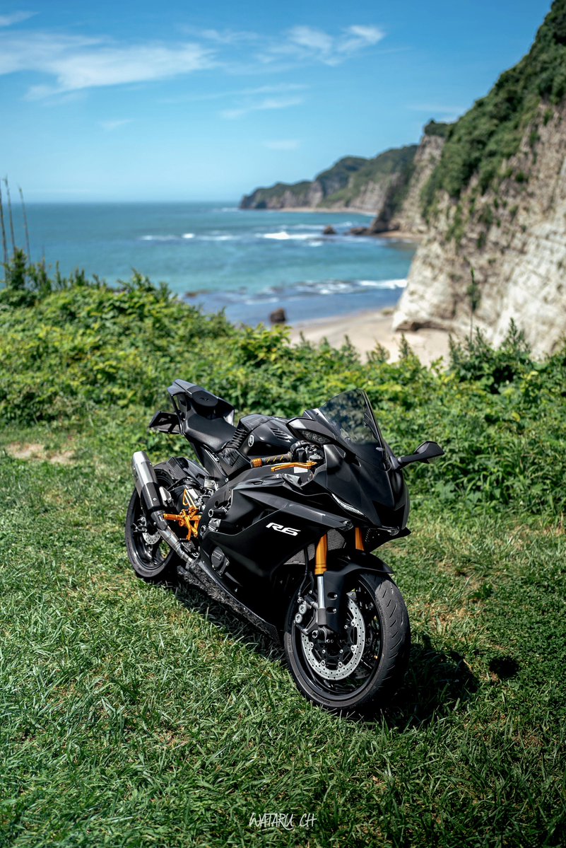 小物 wataru にわとりのエッグカップ（小）［かしわ窯］