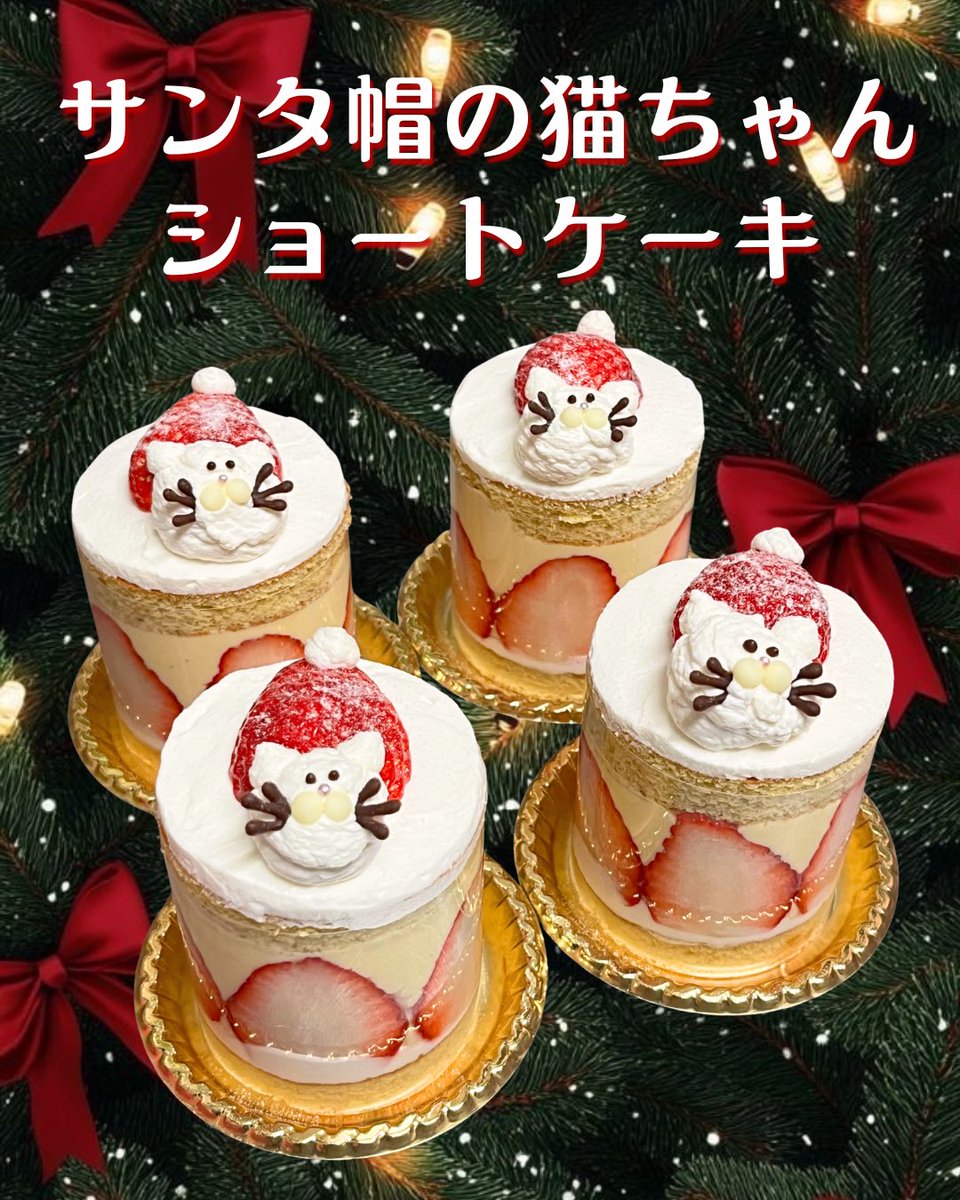 ୨୧‿‿‿୨ ♡ ୧‿‿‿୨୧ ୨୧‿‿‿୨ ♡ ୧‿‿‿୨୧ 𝓷𝓮𝔀✨ サンタ帽の