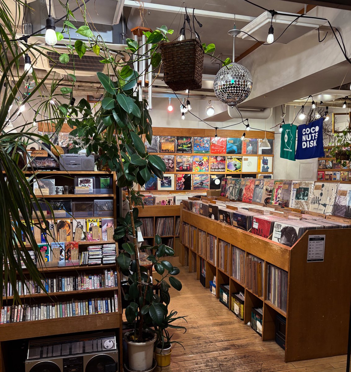 誠に勝手ながら25年12月11日（木曜）、都合により臨時休業とさせていただきます。吉祥寺店と池袋店は通常通り営業致しており〼 何卒ドウゾ宜しくお願い致します🏡