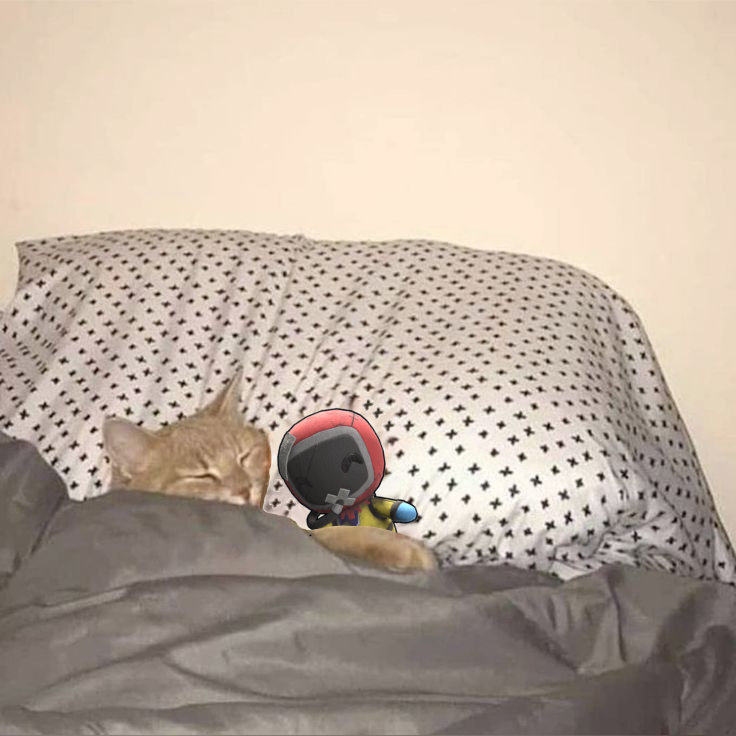 bandit.camp tweet media