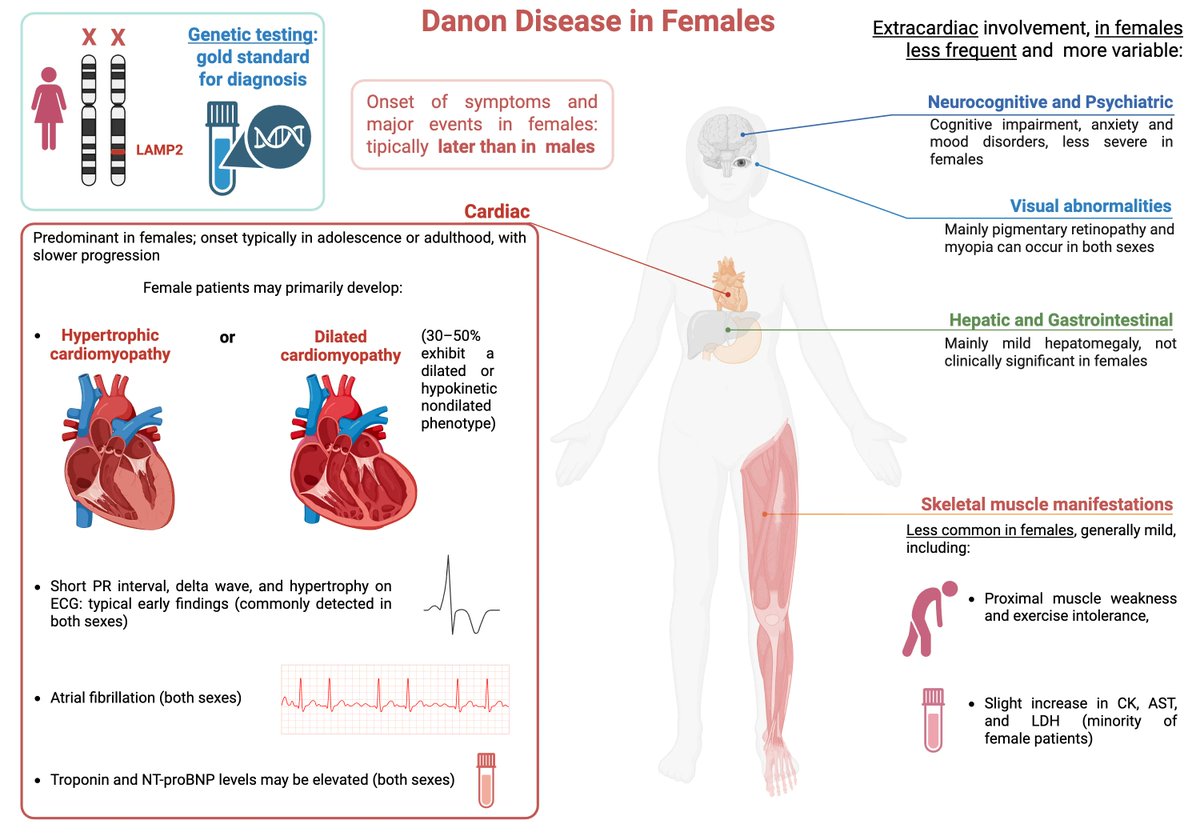 Cardiogenetics MDPI tweet media