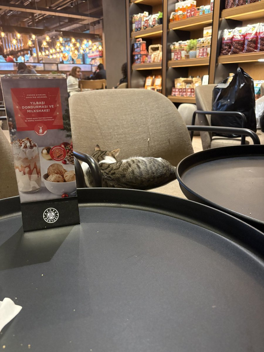 Takipçi şikayeti :
 <a href="/kahvedunyasi/">Kahve Dünyası</a> şubesine girdik. Ağız tadıyla kahvemizi içemedik. Her koltuk kedi tüyü, pisliği. İçeride 3 tane başıboş kedi vardı. <a href="/BeyogluBld/">Beyoğlu Belediyesi</a>