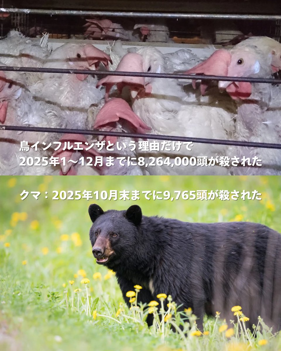 熊々 31fコンテナ U55A-139500番台タイプ 日本通運（NX）55 BIG ECO LINER