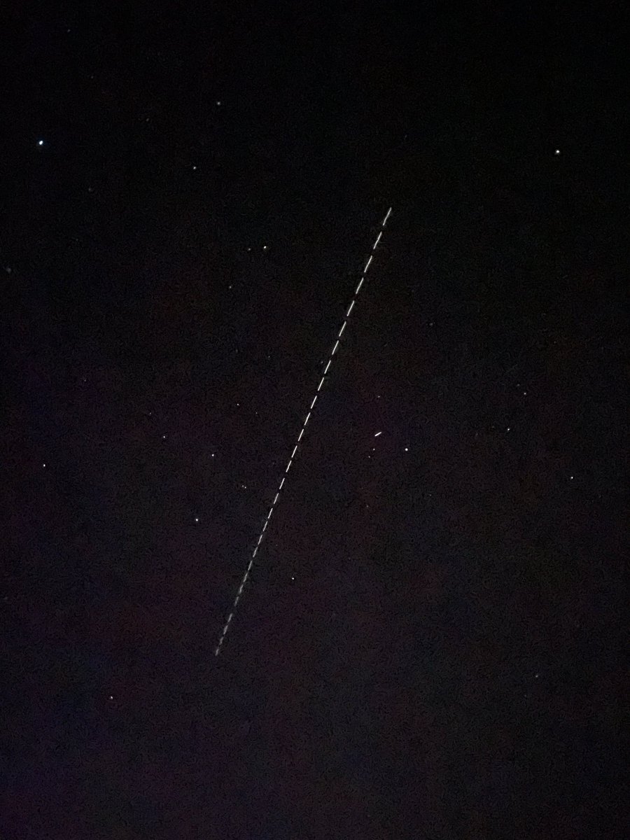 Brian Bronco tweet media