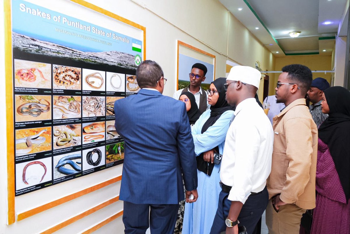 Mohamed Farole tweet media