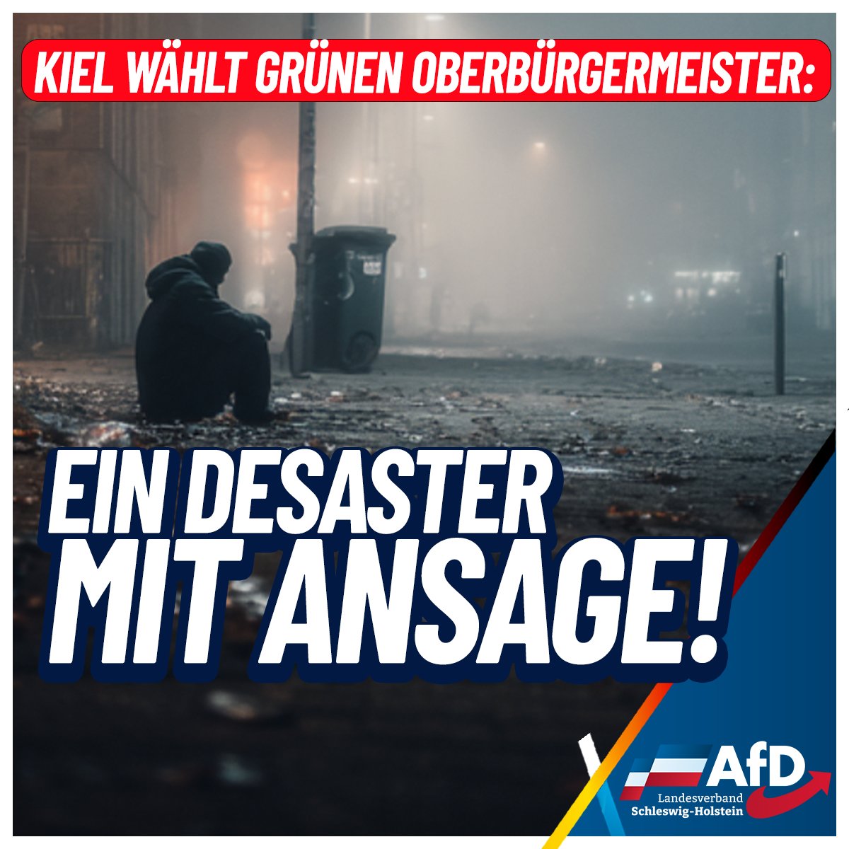 AfD Schleswig-Holstein tweet media