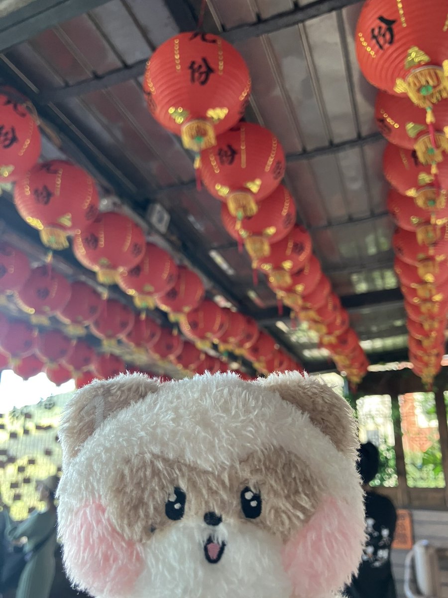 hao5014's tweet photo. 台湾楽しすぎた🇹🇼 https://t.co/ou4klcidrc