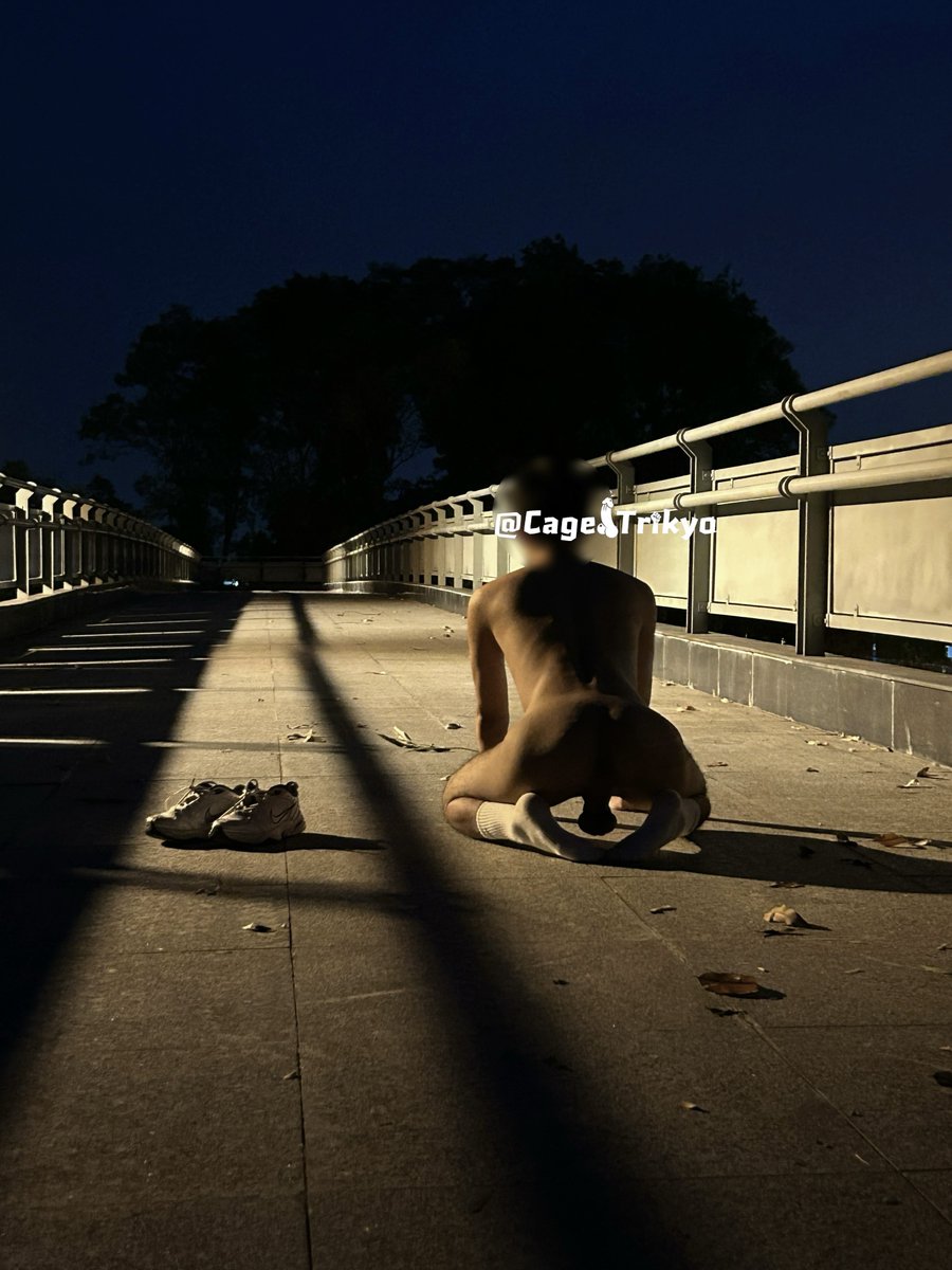 标准共犯 tweet media