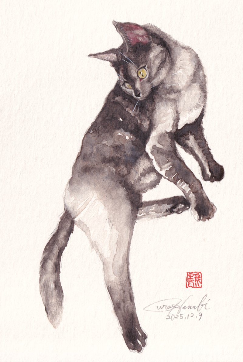 シュミンケ の #ランダムグレー2026 届きました！2026メインで。過去版