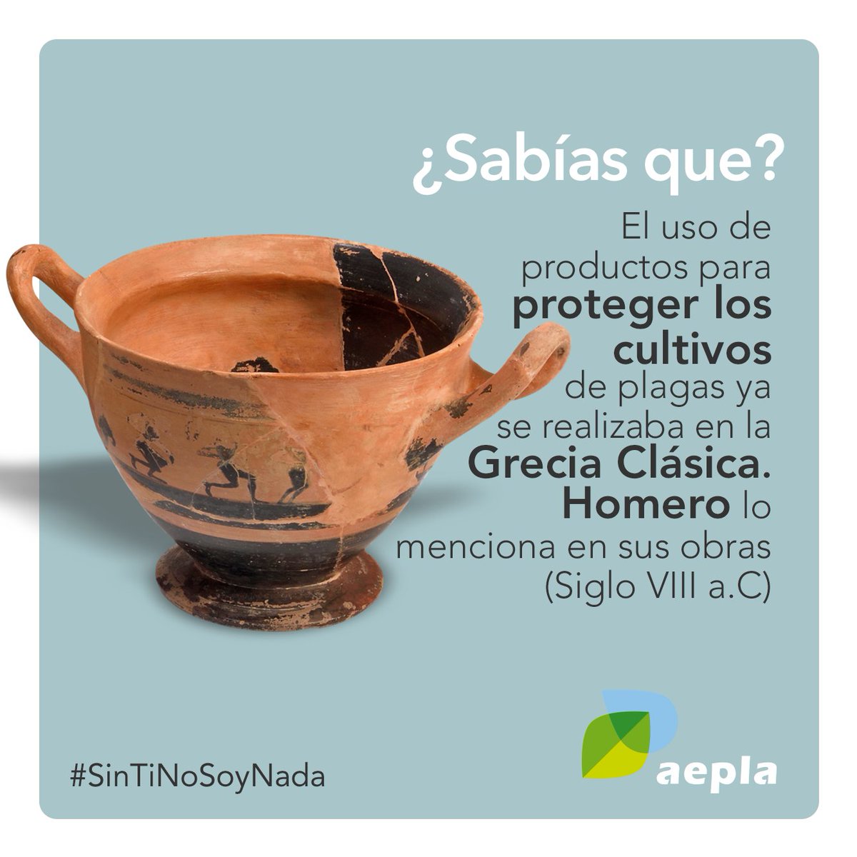 Prácticamente desde el nacimiento de la agricultura, el ser humano ha entendido la importancia de apoyarse en la medicina de las plantas 🌱 para actuar frente a la amenaza que suponen las plagas y enfermedades en los cultivos.