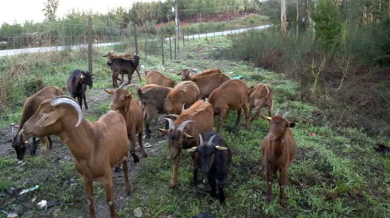 Maxideza tweet media