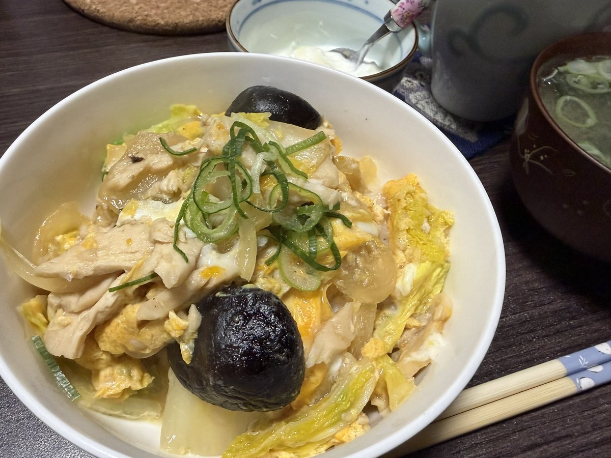 こちらは実質親子丼です。 あれもこれもと入れていたら、卵とじになり