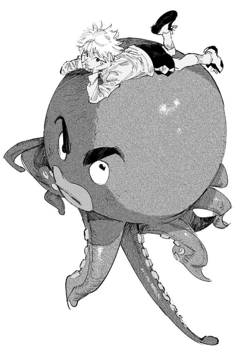 Hunter x Hunter (@hxhvizuals) on Twitter photo 