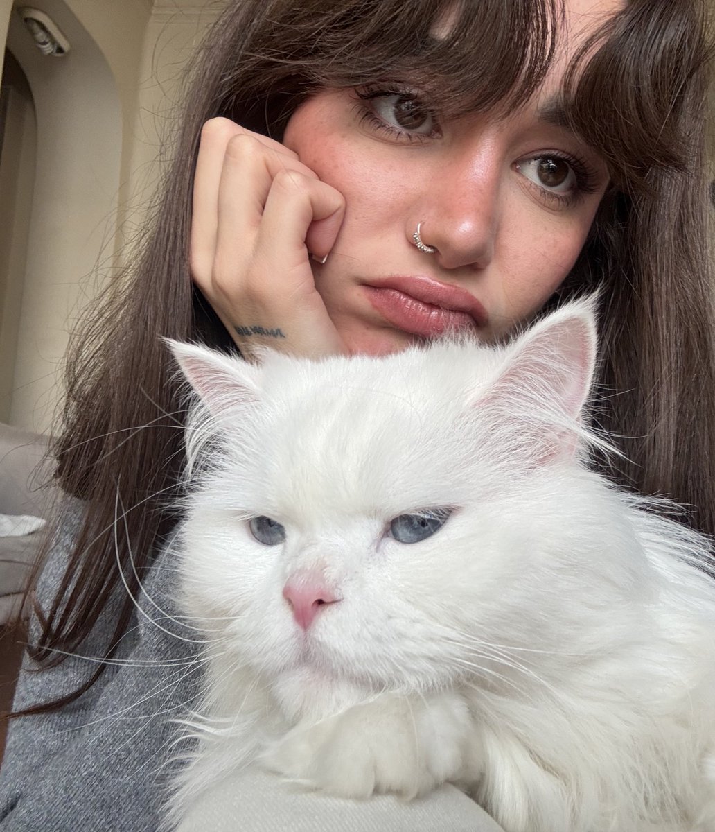 مَه لا tweet media