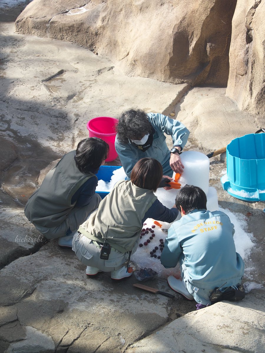 あまっくま🐼🌻✨✨ (@love_panda_rira) / Posts / X