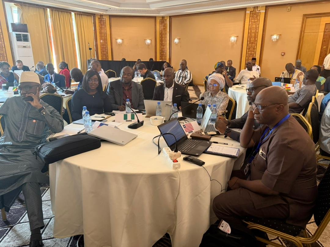 Nigeria Health Watch tweet media