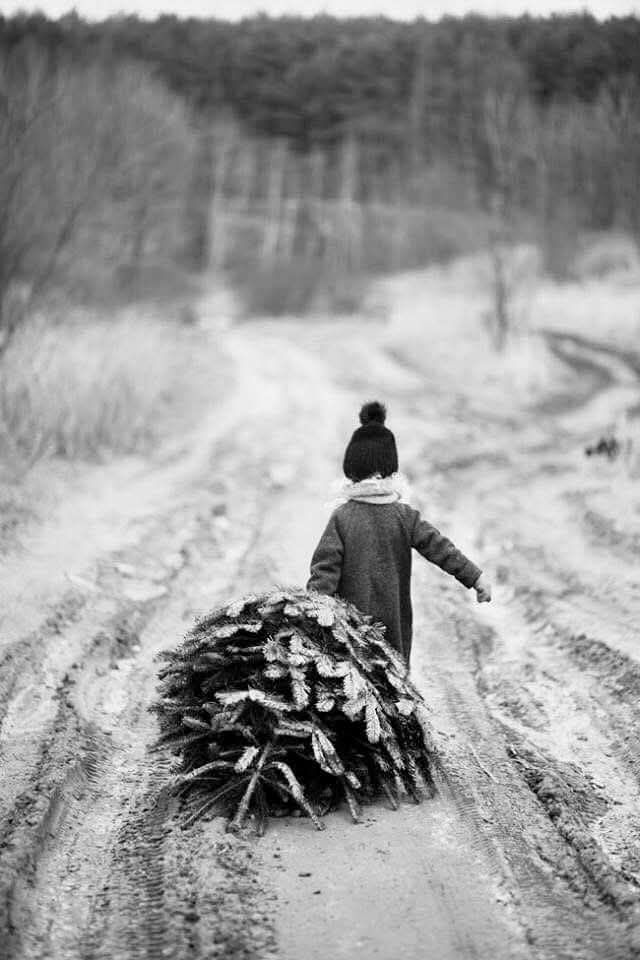 “Kindness is like snow—it beautifies everything it covers.” 
– Kahlil Gibran