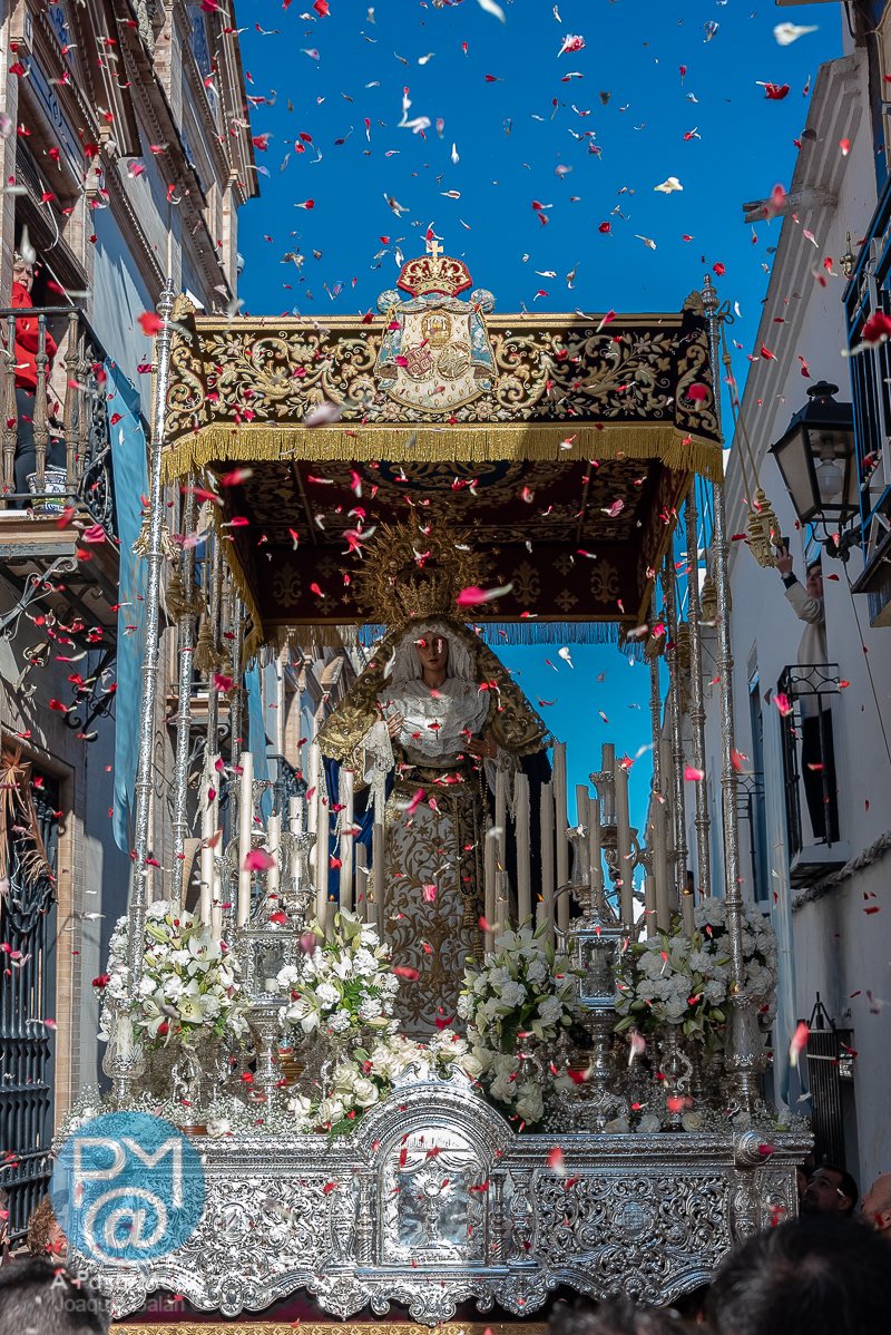 A Paso Muda tweet media