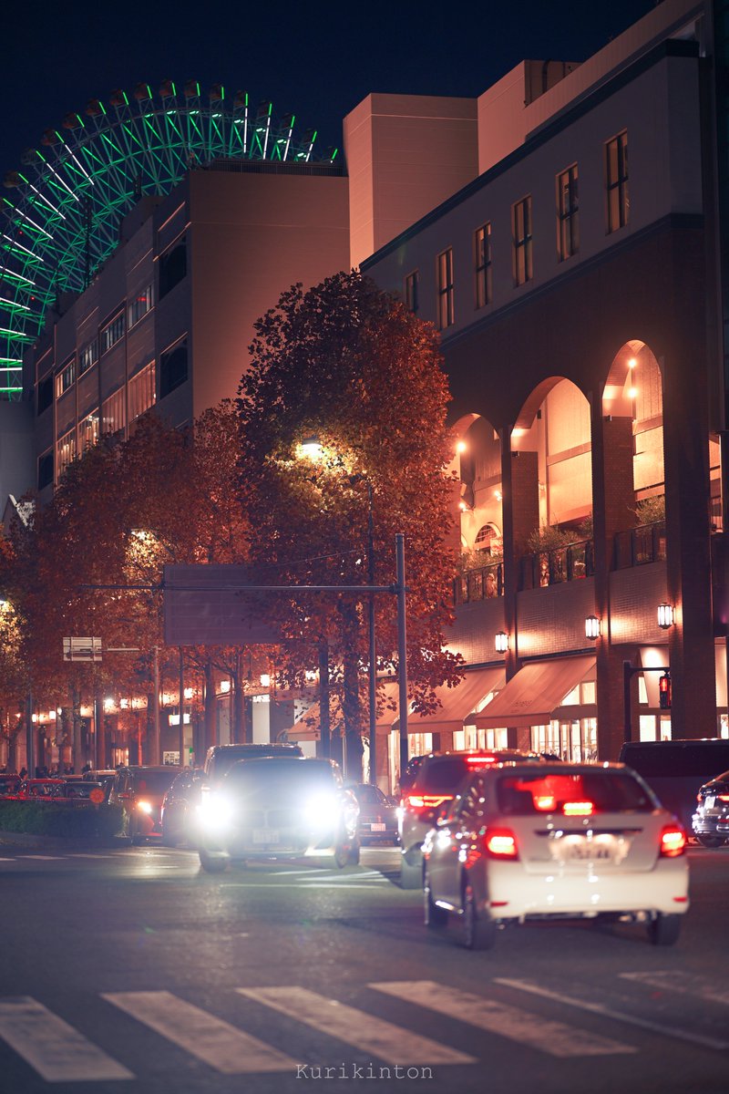 栗きんとん🌰 (@redzone178) / Posts / X