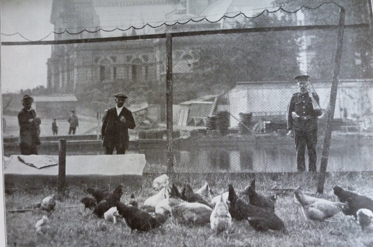 AllyPallyMuseum's tweet photo. During the 1914 - 1918 war, Alexandra Palace housed refugees from Belgium, and then enemy aliens and prisoners of war.
They were allowed to keep chickens.
They took some guarding. https://t.co/gH3wJ6hKKT