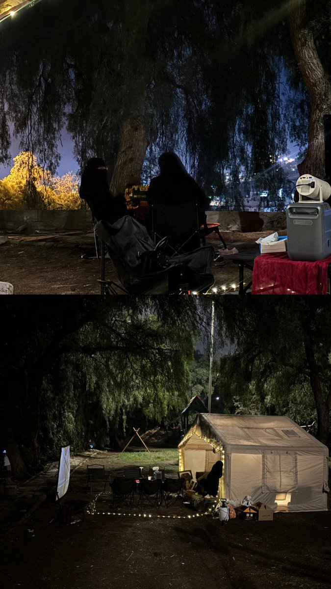 بشرى tweet media