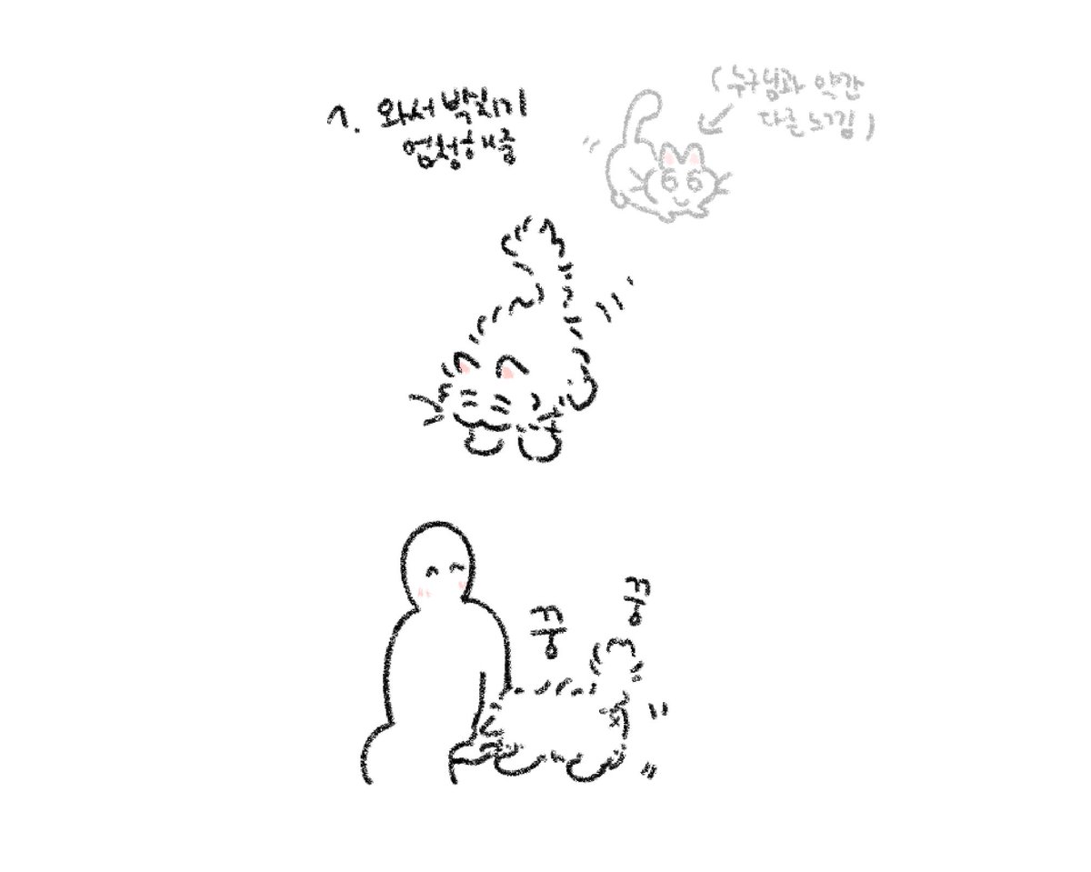 곤드레나물밥 tweet media