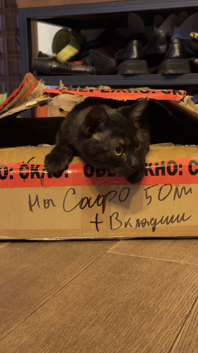 Пройшли половину
Все ще треба ваша допомога 

send.monobank.ua/jar/5f7z82Zjs5