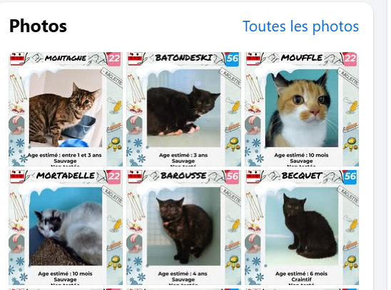 justine44 tweet media