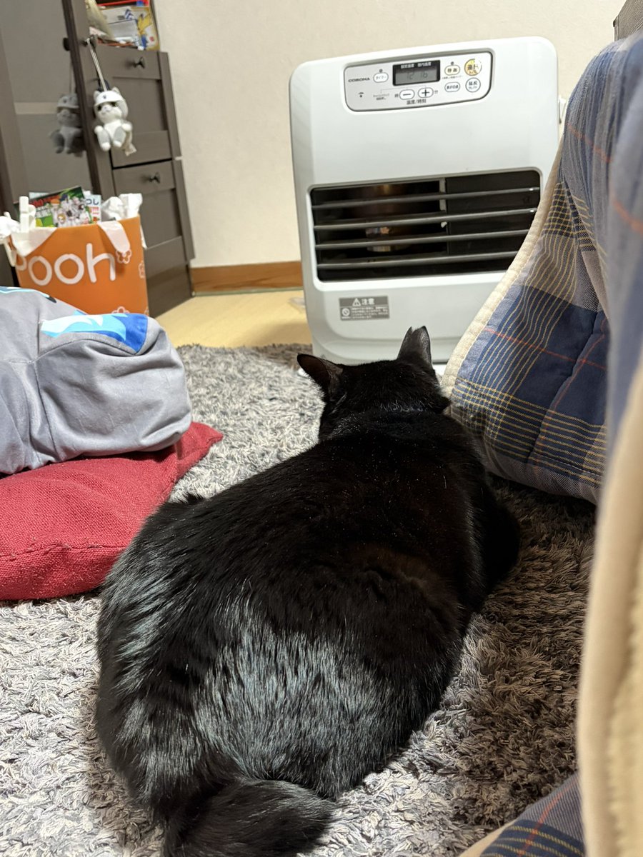 ストーブの適切な距離がわかる賢いグリム