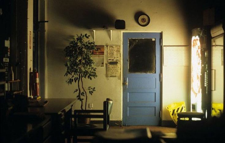 aesthetics (@aesthetics_40) on Twitter photo 