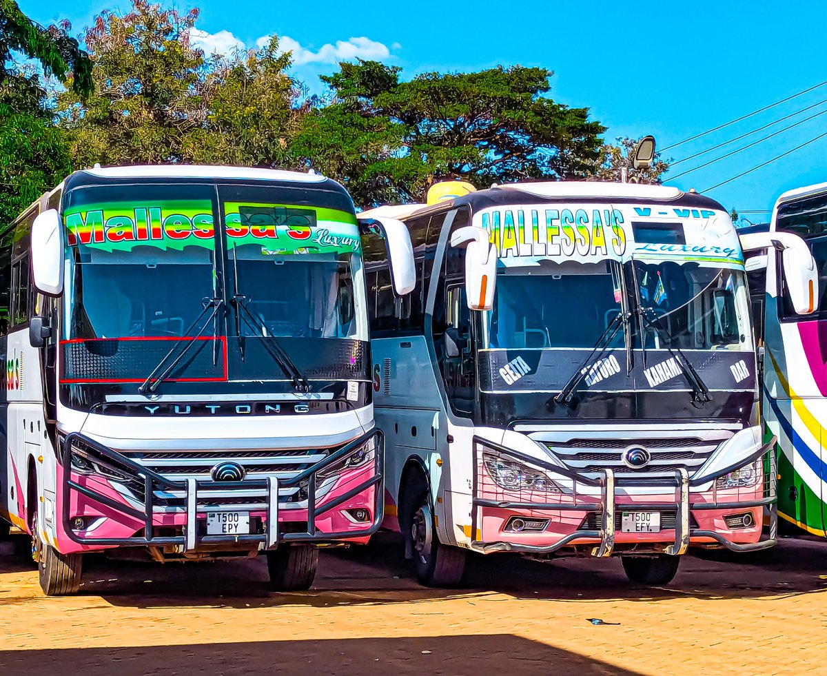 TOMORROW 17:00 JION 
EFY 500 LITAKUWA ROAD 🛣️ KUTOKA GEITA UELEKEO NI DAR ES SALAAM 

EDM 499 LA MAMA HEZRON  LITAKUWA ROAD 🛣️ KUTOKA DAR ES SALAAM UELEKEO NI GEITA 

KARIBUNI MALLESSA'S LUXURY 🤝🤝 

MUNGU IBARIKI TANGANYIKA AMEN 🙏