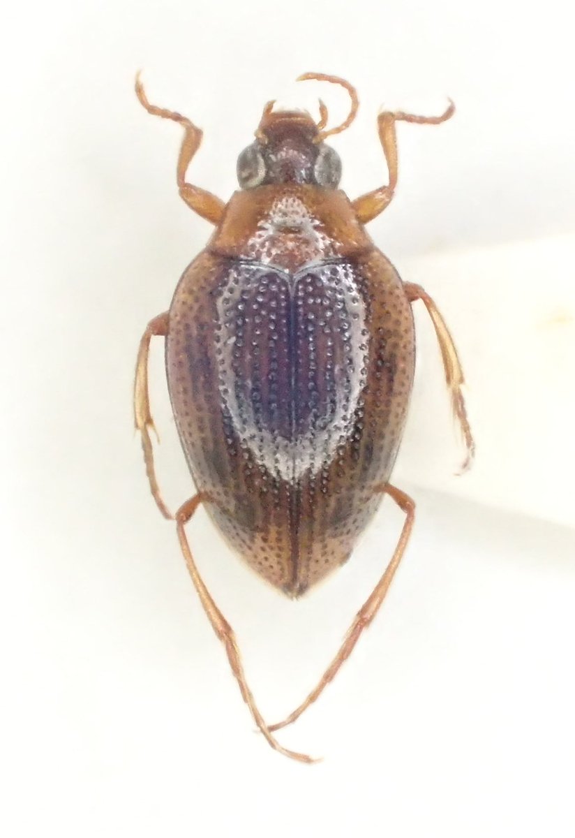 wata (@jXBoEkfoa2z1wZu) / Posts / X