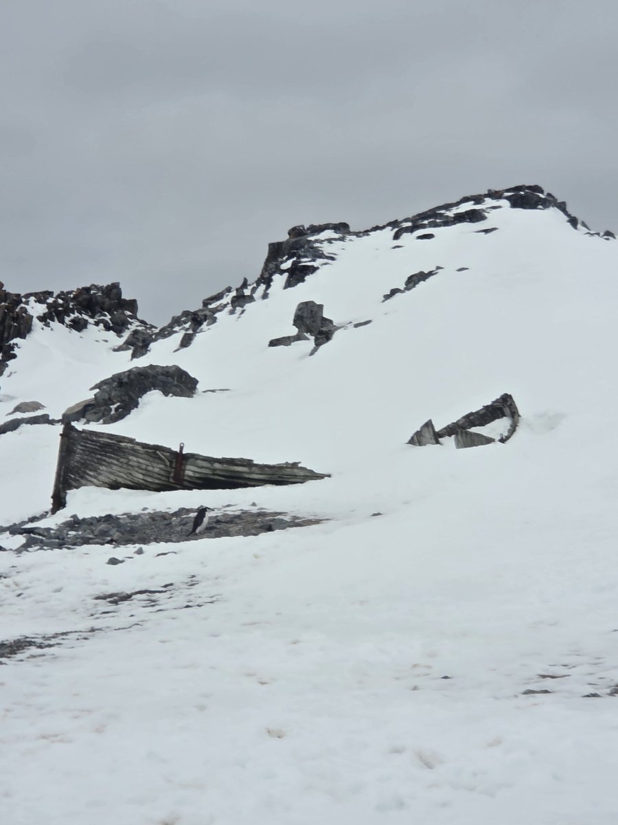 Вы помните из тредов прошлых лет (кто не помнит, поищите по названию в прифиле), на берегу лежит старый вельбот (whaleboat), т.е. лодка для охоты на китов. Все с ней хорошо, она дает укрытие от ветра и прямо рядом развалился жирненький тюлень Уэделла.  Любят они это место