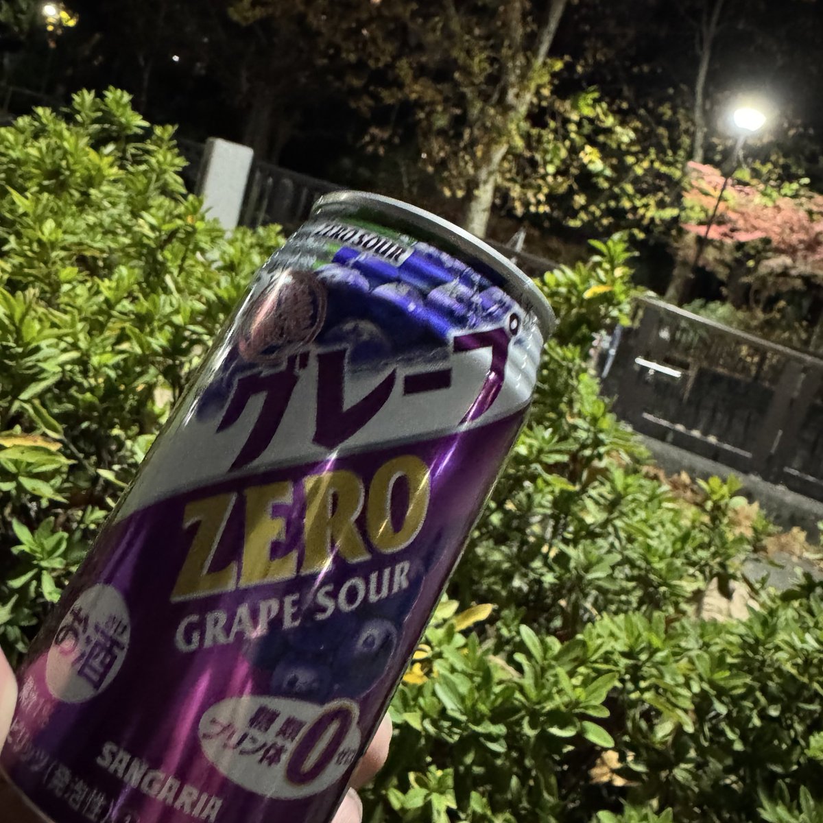 ぶえもんちゃん (a.k.a いでさん) (@buemon228) / Posts / X