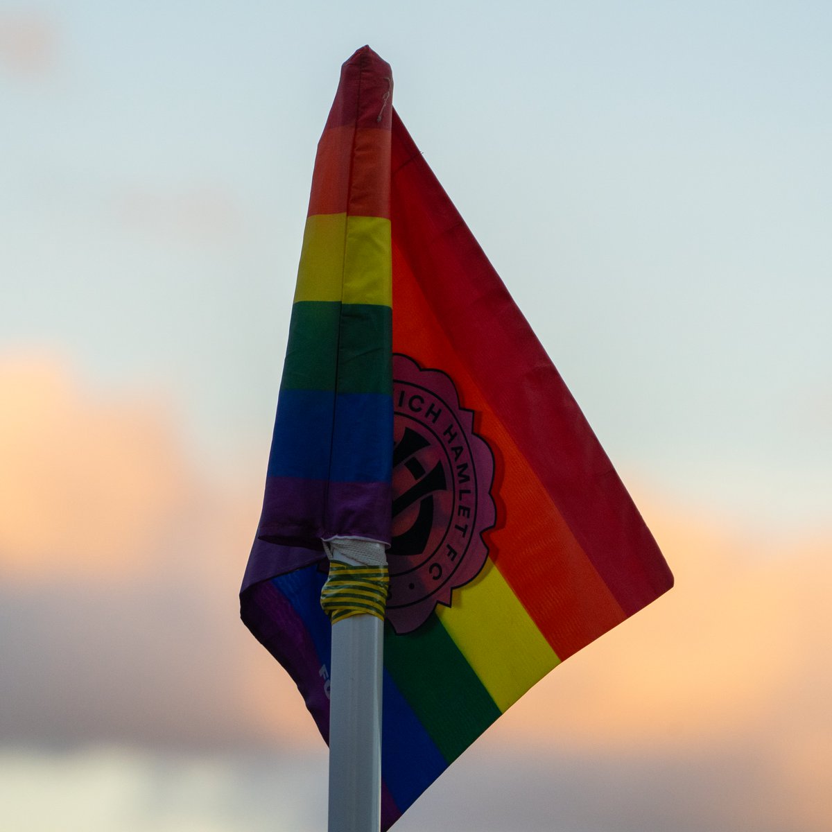 Dulwich Hamlet FC Women tweet media